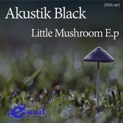 littlemushroom,mushroomomelet little mushroom ep