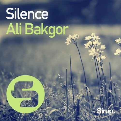 Ali Bakgor - Silence (Original Club Mix).mp3