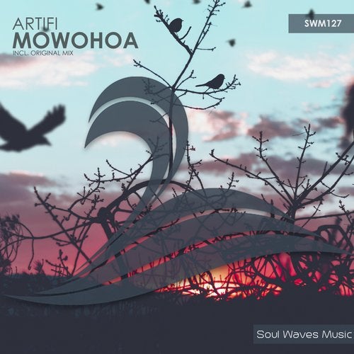 Artifi - Mowohoa (Original Mix).mp3