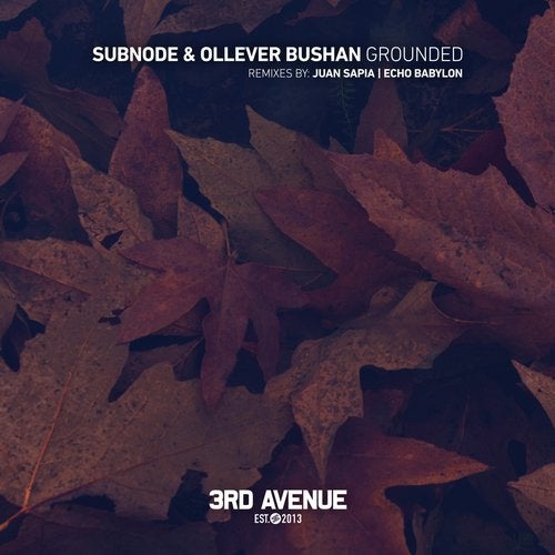 Subnode Ollever Buschan - Grounded (Echo Babylon Remix).mp3