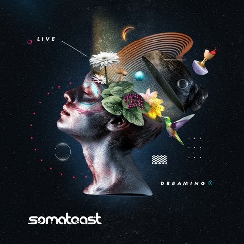 Somatoast - Live Dreaming (LP) 2019 Somatoast - Live Dreaming (LP) 2019
