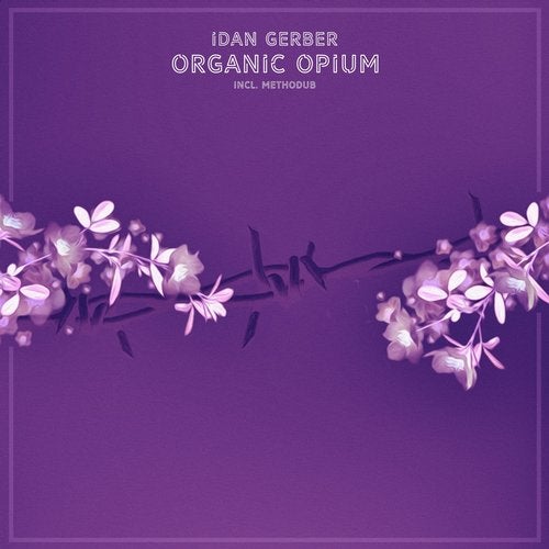 Idan Gerber - Organic Opium (Methodub Remix).mp3