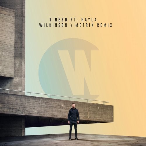 Wilkinson feat Hayla - I Need (Wilkinson & Metrik Remix).mp3