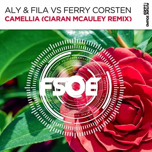 Aly & Fila vs. Ferry Corsten - Camellia (Ciaran McAuley Extended Remix).mp3