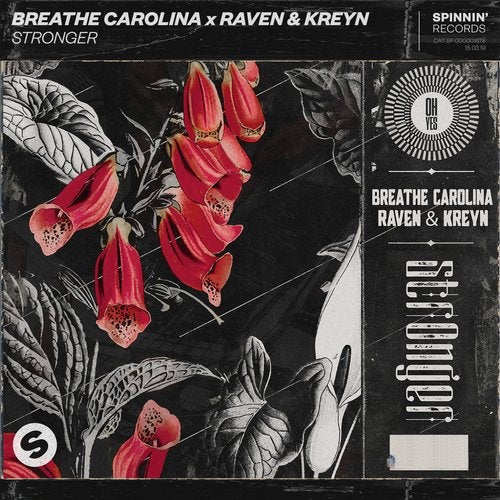 Breathe Carolina x Raven & Kreyn - Stronger (Extended Mix).mp3