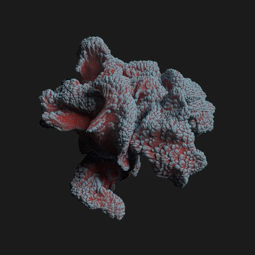Aera - Prana EP IV93 AIFF