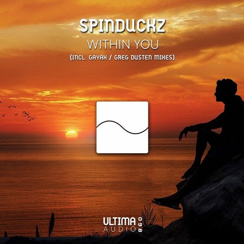 SpinduckZ - Within You (Gayax Remix).mp3