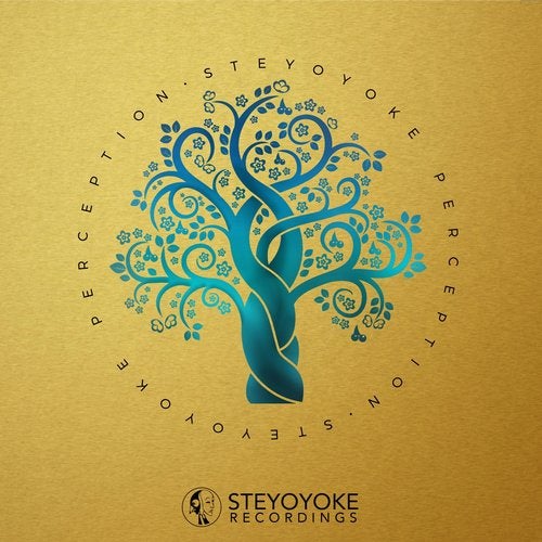 Steyoyoke Perception, Vol. 7