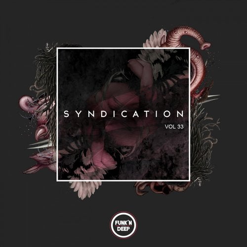 Syndication, Vol. 33 FNDEP145