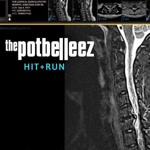 The Potbelleez Music Download Beatport the potbelleez music download beatport