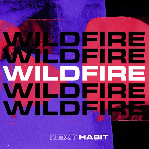Wildfire from Perfect Havoc on Beatport