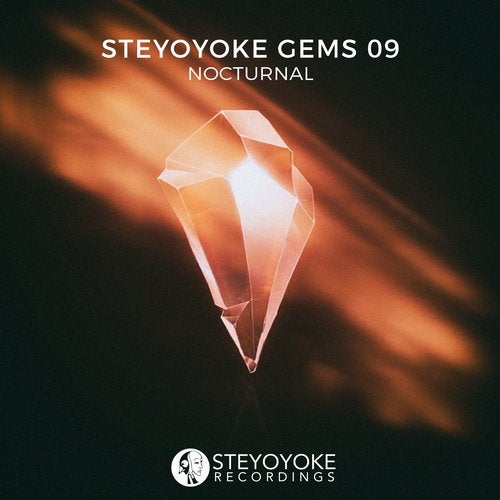 VA – Steyoyoke Gems Nocturnal 09 SYYKCOMP014 VA – Steyoyoke Gems Nocturnal 09 SYYKCOMP014