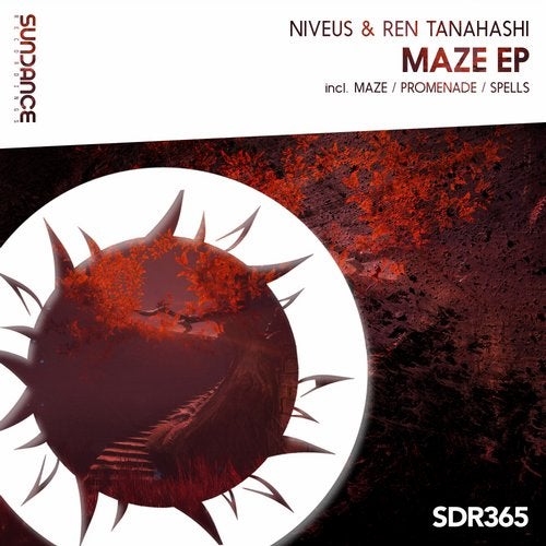 Niveus & Ren Tanahashi - Maze (Original Mix).mp3