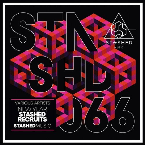 New Year Stashed Recruits