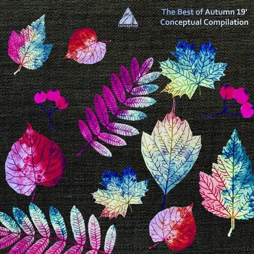 The Best of Autumn 19' Conceptual Compilation