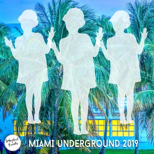 VA - Miami Underground 2019 SUBCOMP024 Subinstinct Records