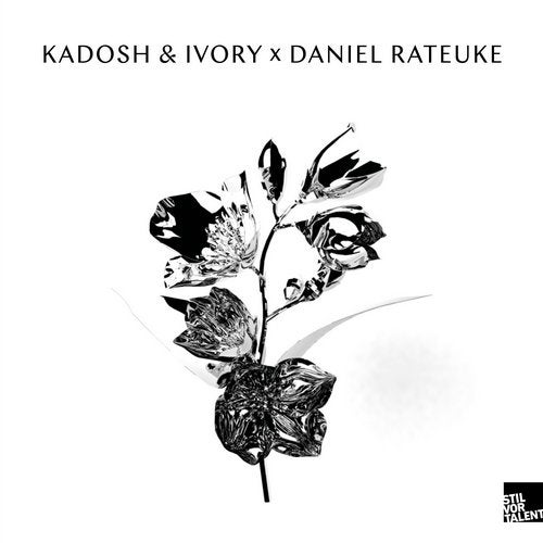 Kadosh & Ivory x Daniel Rateuke