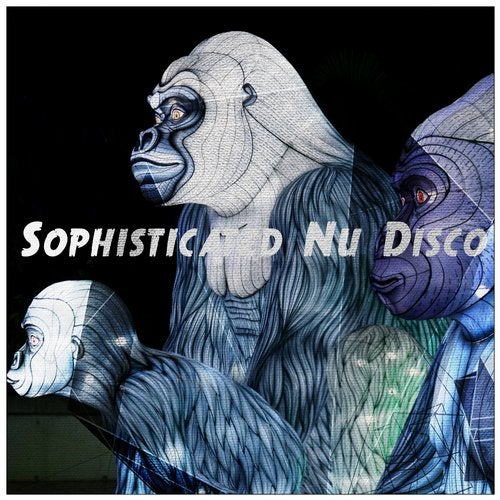 Sohpisticated Nu Disco