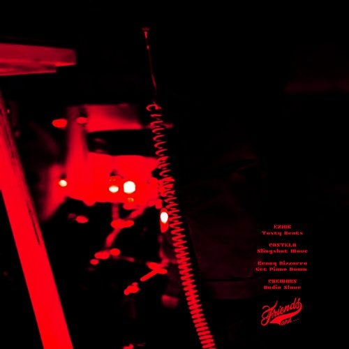 VA001 And Friends Records FLAC