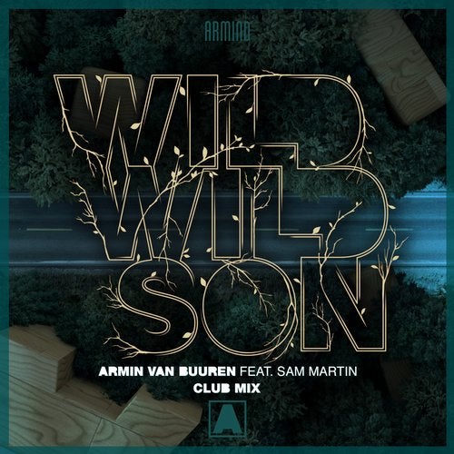 Armin Van Buuren Feat. Sam Martin - Wild Wild Son (Extended Club Mix).mp3