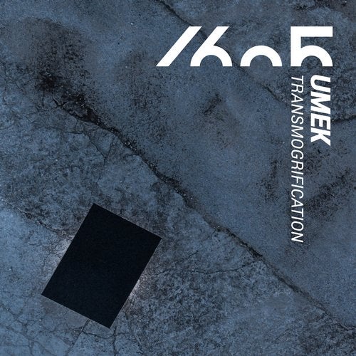 Transmogrification (Original Mix)