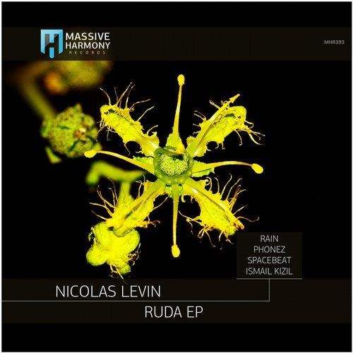 Nicolas Levin - Ruda (Original Mix).mp3