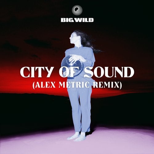 Big Wild - City of Sound (Alex Metric Remix).mp3