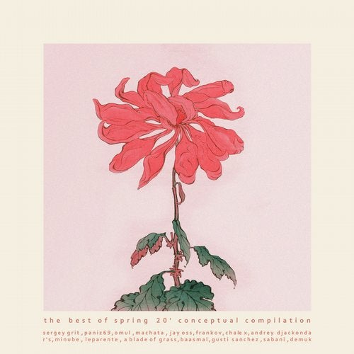 The Best of Spring '20 Conceptual Compilation