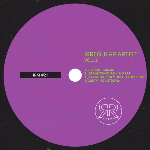 Irregular Artist Vol. 2