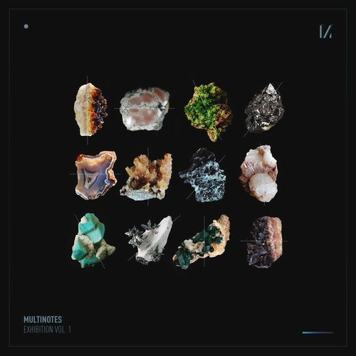Multinotes Exhibition, Vol. 1 FLAC