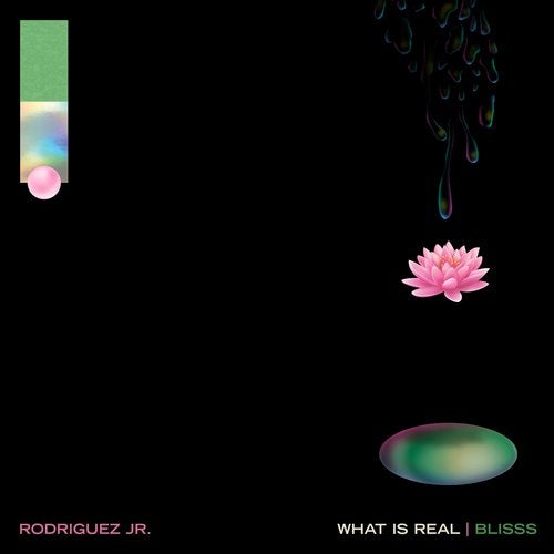 Rodriguez Jr. - What Is Real _ Blisss