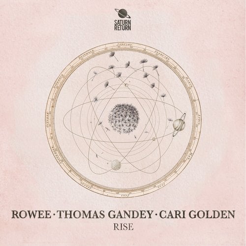 Rowee, Thomas Gandey, Cari Golden - Rise SAT004 AIFF