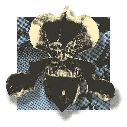 NOWHERE02