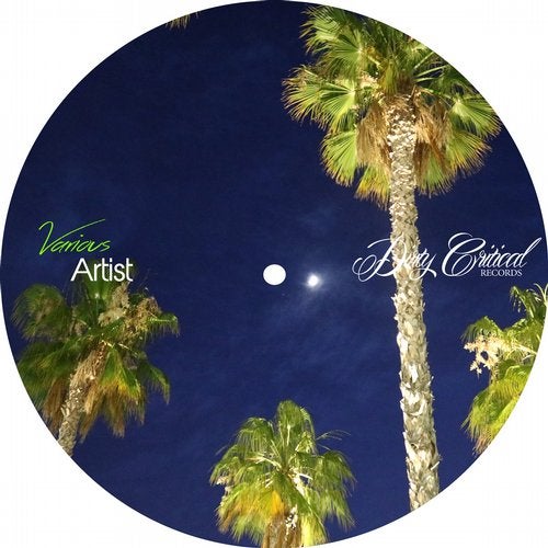 Various Artists