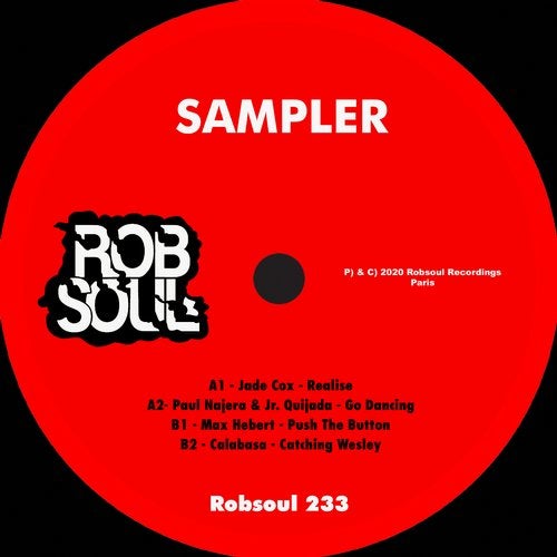 Robsoul Sampler RB233 AIFF
