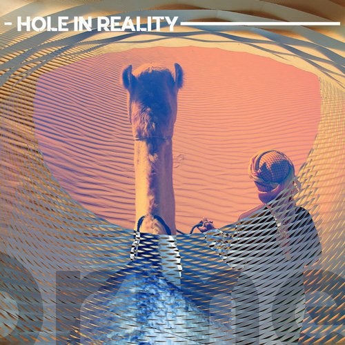VA - Hole In Reality [Orme Music]