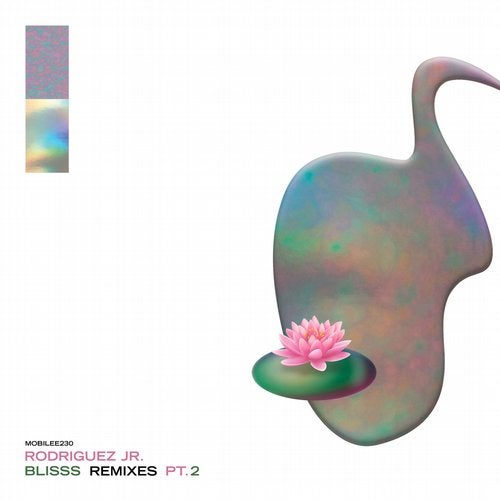 Blisss Remixes Pt. 2