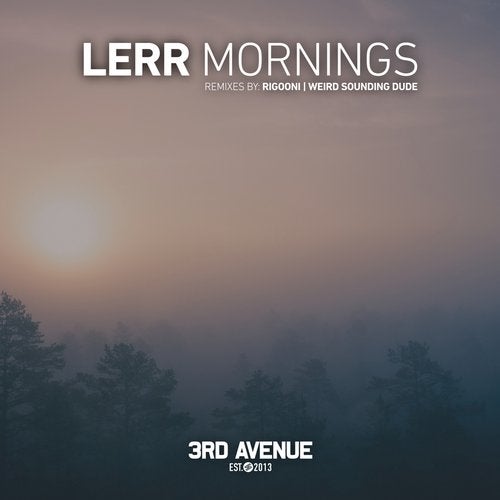 Lerr - Mornings (RIGOONI Remix).mp3