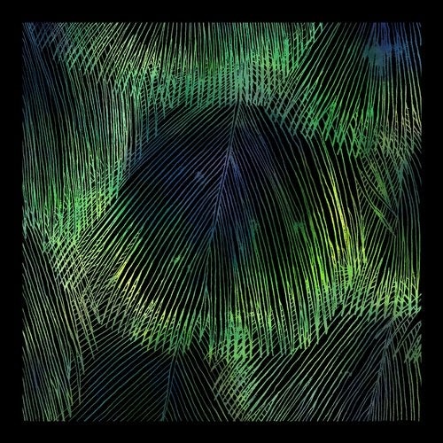 Matthias Meyer, Ryan Davis - Crying Juno / Cafune WGVINYL070 AIFF