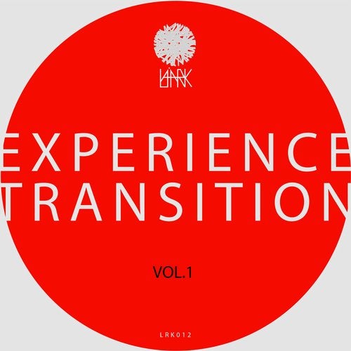 Experience Transition