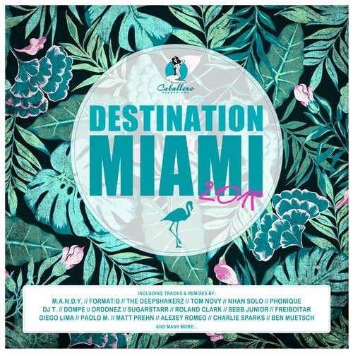 VA - Destination Miami 2019 CABACOMP064 Caballero Recordings