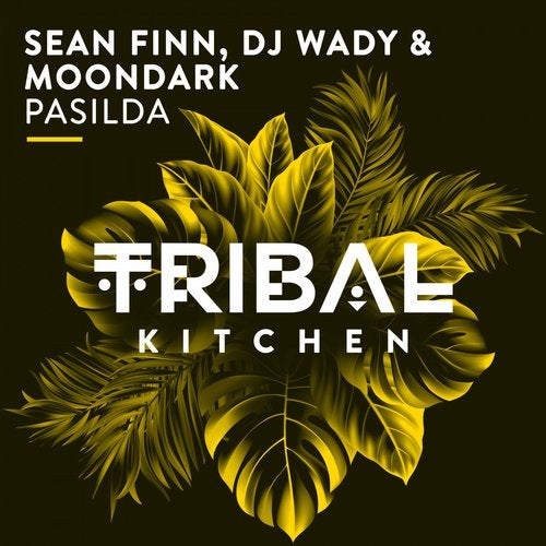 Sean Finn VS DJ Wady & MoonDark - Pasilda (Original Mix).mp3