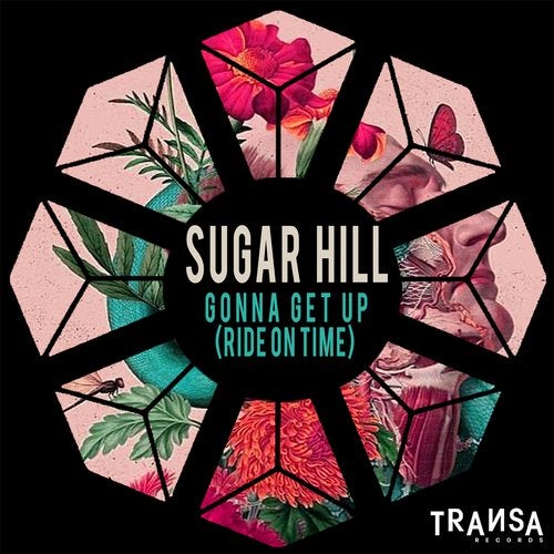 Sugar Hill - Gonna get up (Ride on time) (Original Mix).mp3