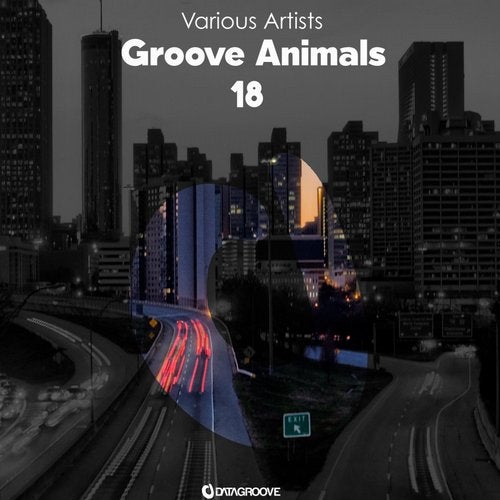 Groove Animals 18 DG282 FLAC