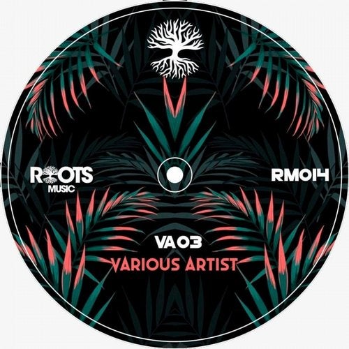 Roots VA 03