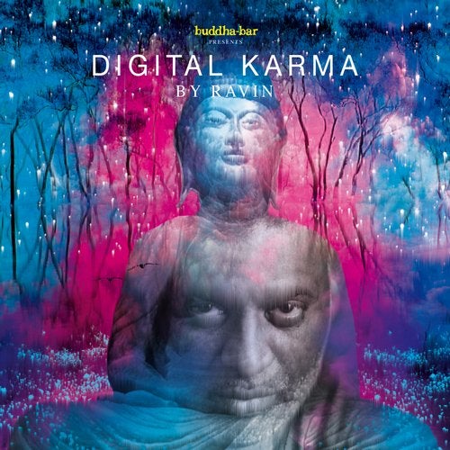 Buddha Bar Presents Digital Karma