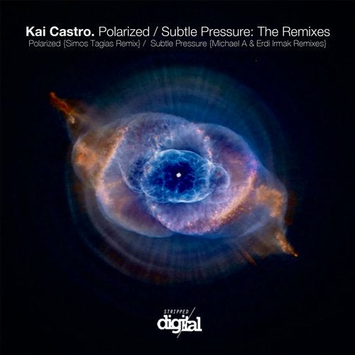 Polarized / Subtle Pressure: The Remixes