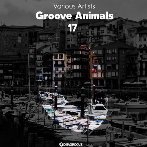 Groove Animals 17