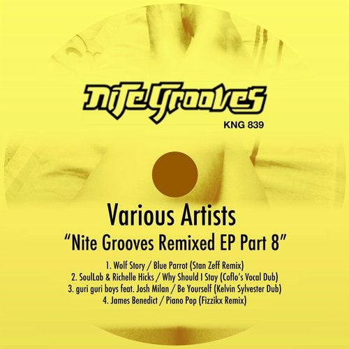 Nite Grooves Remixed EP, Pt. 8 KNG839 FLAC