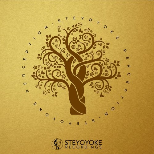 Steyoyoke Perception, Vol. 4